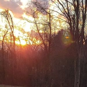 Meet your Posher, Sheila